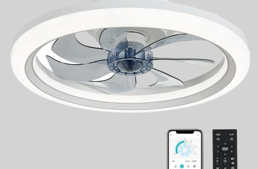 Ceiling Fans with Lights